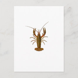 Postal Logo de Crawfish