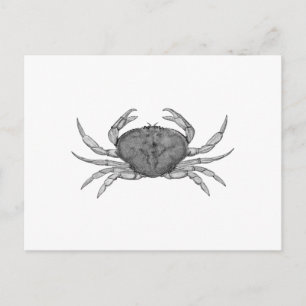 Postal Logo de Dungeness Crab (arte de la línea)