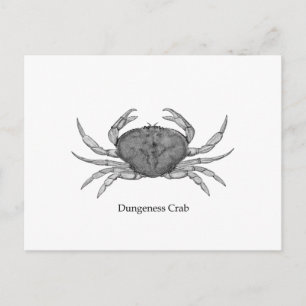 Postal Logo de Dungeness Crab (arte de la línea)