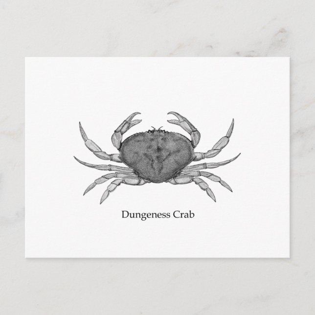 Postal Logo de Dungeness Crab (arte de la línea) (Anverso)
