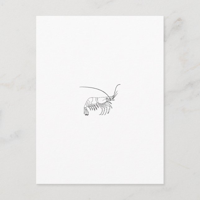 Postal Logo de Prawn (Anverso)