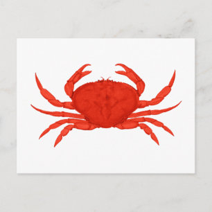 Postal Logo de Red Dungeness Crab