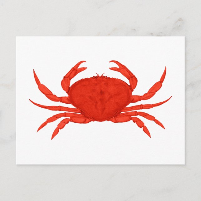 Postal Logo de Red Dungeness Crab (Anverso)