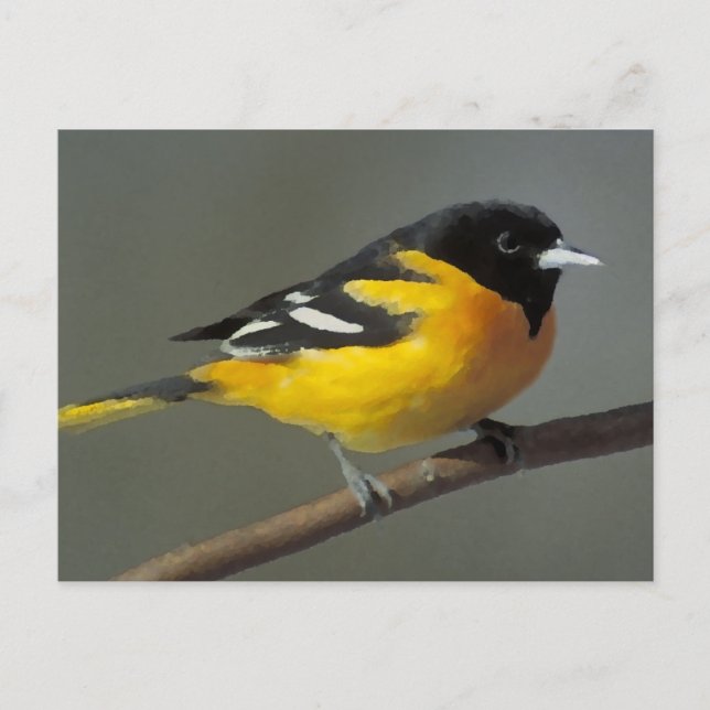 Postal Logotipo Baltimore Oriole (paleta) (Anverso)