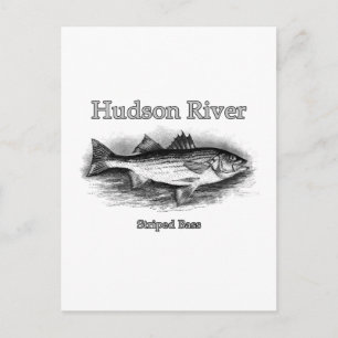 Postal Logotipo de pan rayado del río Hudson