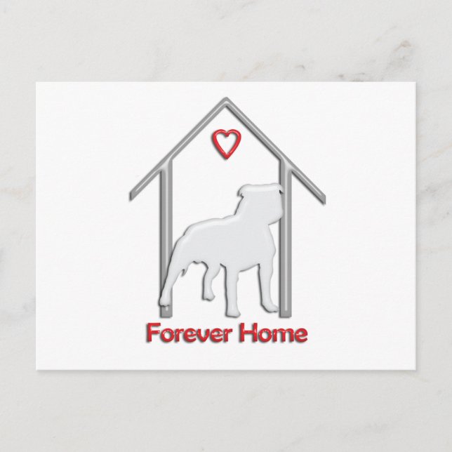 Postal Logotipo de Pitbull Blanco Forever Home (Anverso)