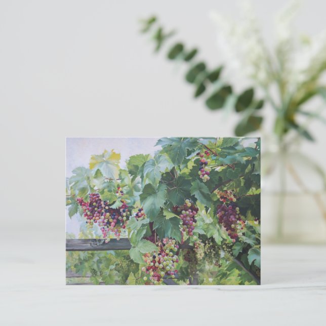 Postal Loire Valley Vineyard – French Grape Painting (Anverso de pie)