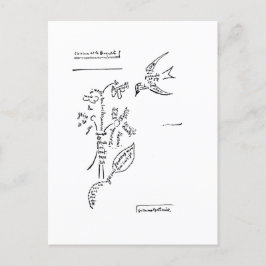 Postal L'oiseau et le bouquet, por Apollinaire
