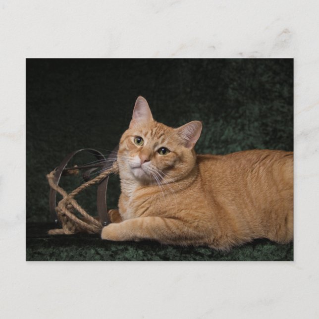 Postal Loki con trineo (Anverso)