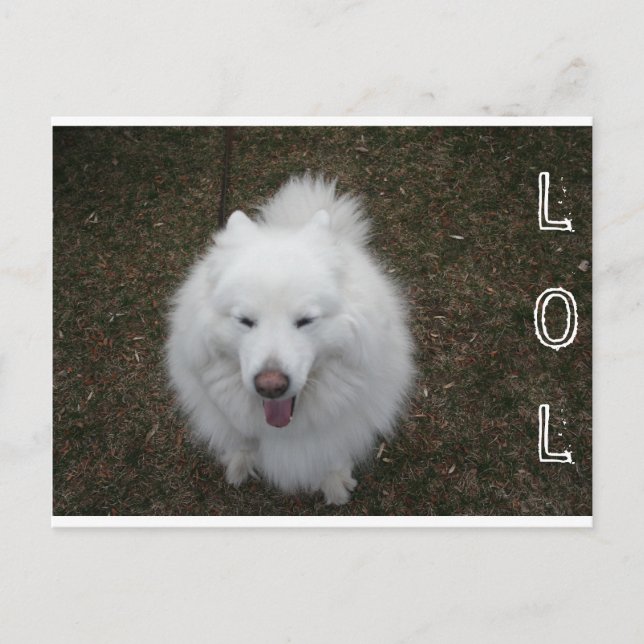 POSTAL LOL (Anverso)