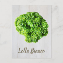 Lollo Bianco Salad lechuga para Vegans