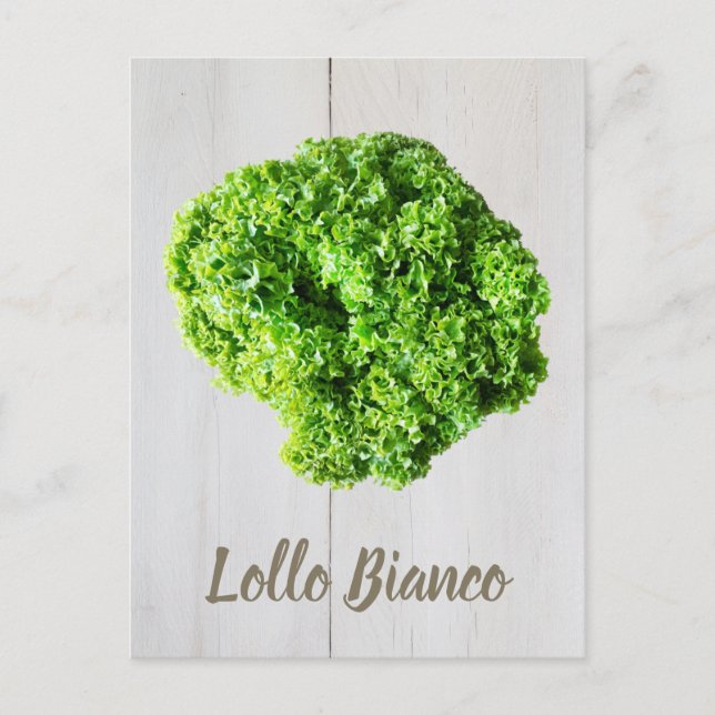 Postal Lollo Bianco Salad lechuga para Vegans (Anverso)