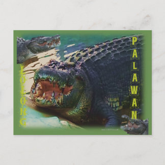 Postal Lolong - "El cocodrilo más grande jamás cautivado"