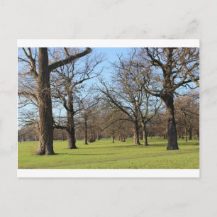 Postal Londres