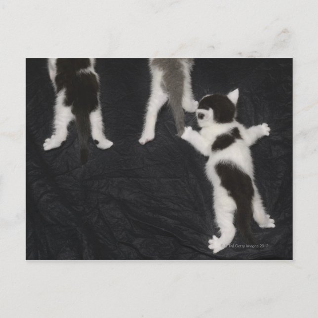 Postal Londres, Inglaterra, Reino Unido 2 (Anverso)