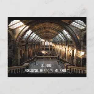 Postal Londres - Museo de Historia Natural