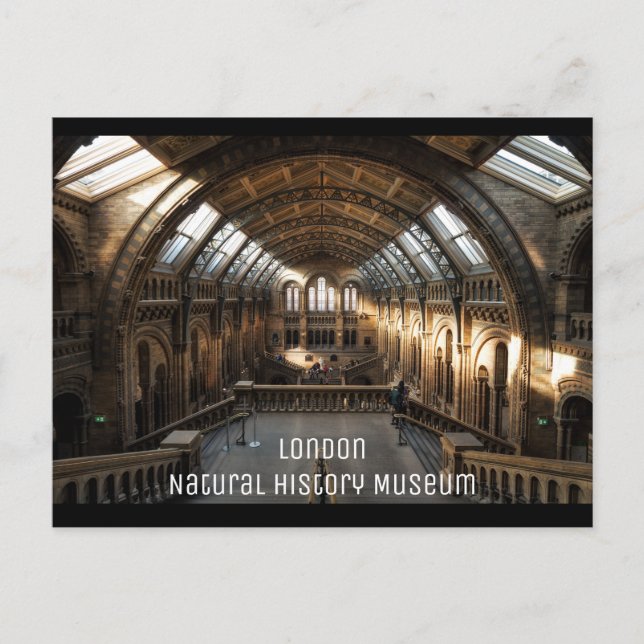Postal Londres - Museo de Historia Natural (Anverso)