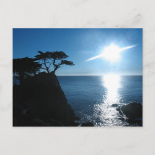 Postal Lone Cypress