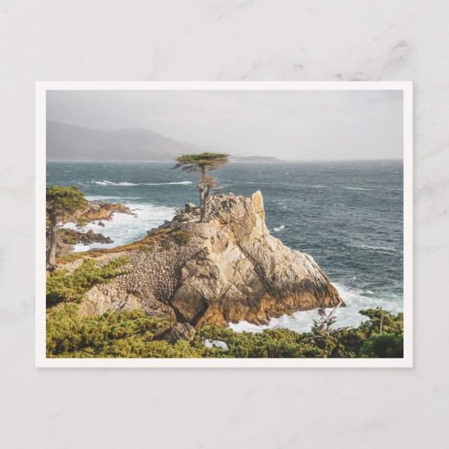 Postal Lone Cypress Pebble Beach Monterey Photo (Anverso)
