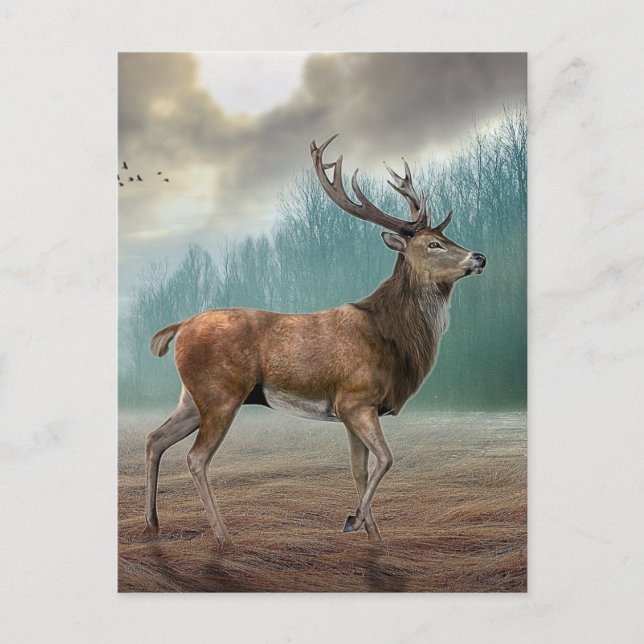 Postal Lone Deer In Misty Forest (Anverso)