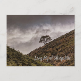 Postal Lone Tree Long Mynd Shropshire