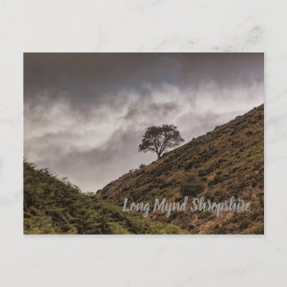 Postal Lone Tree Long Mynd Shropshire