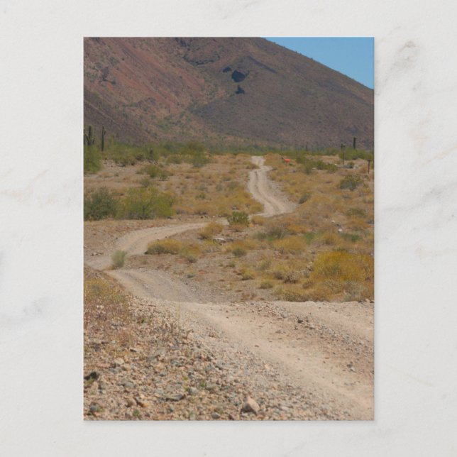Postal Lonely Desert Road 01 (Anverso)