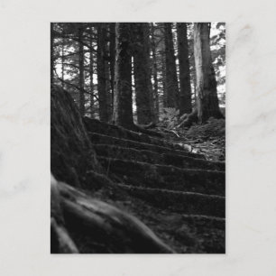 Postal Lonely Stair Way