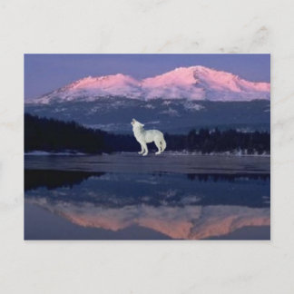 Postal Lonely Wolf