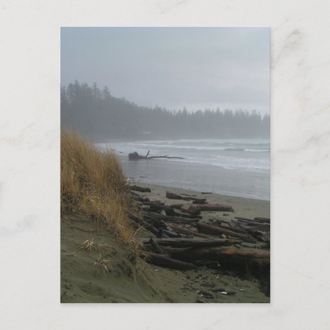 Postal Long Beach, Tofino, isla de Vancouver (Anverso)