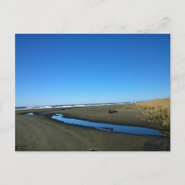 Postal Long Beach, Washington (Anverso)