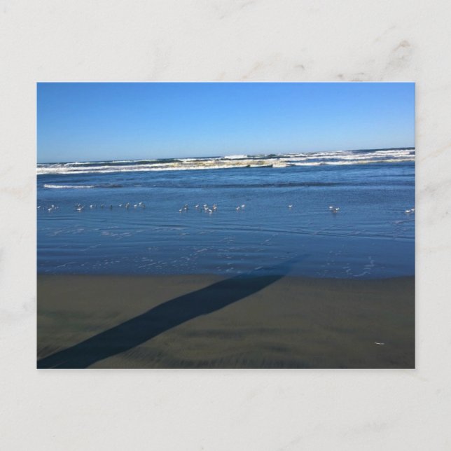 Postal Long Beach, Washington (Anverso)