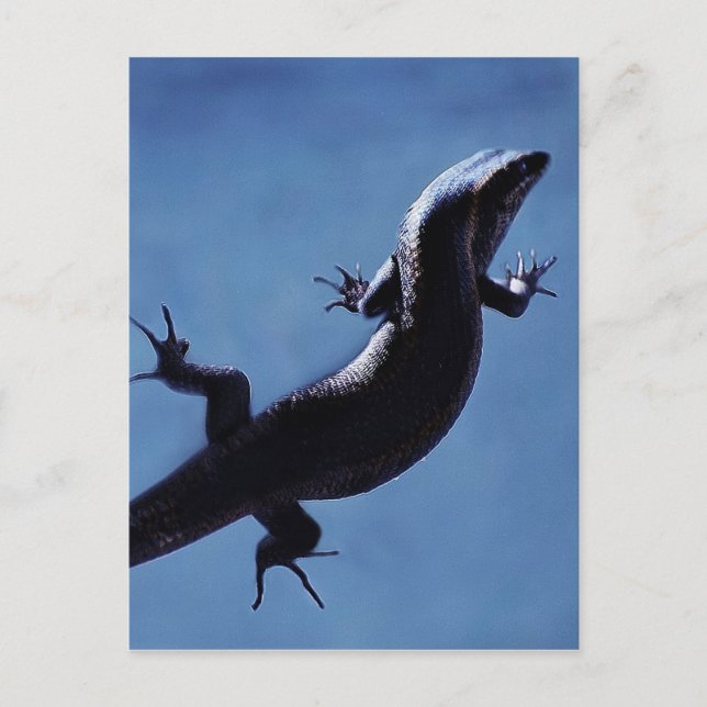 Postal Longevidad (Anverso)