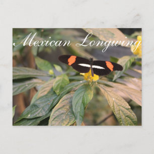 Postal Longitud mexicana de mariposa # 1