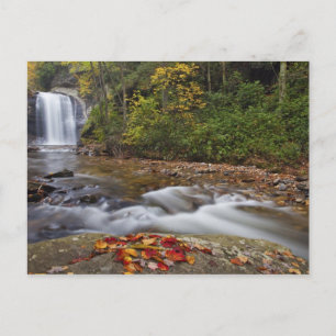 Postal Looking Glass Falls en el Pisgah National