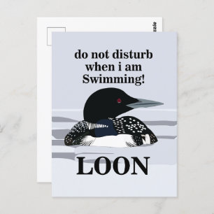 Postal Loon Common Loon Bird Water Lake Funny