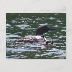 Postal Loon y dos bebés