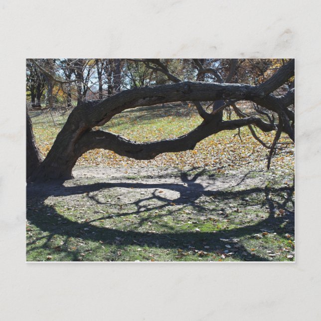 Postal Loose Memorial Park # 36 (Anverso)