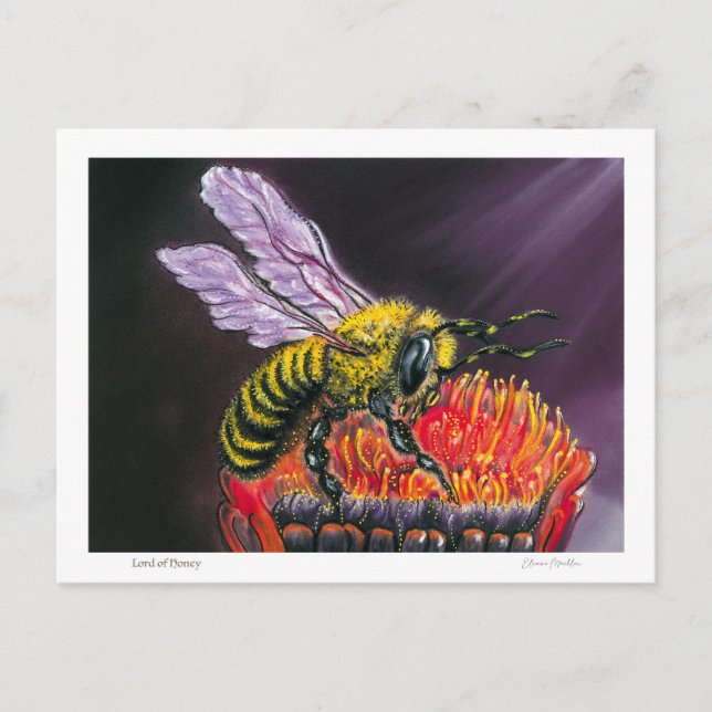 Postal Lord of Honey (Anverso)