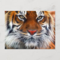 Lord of the Indian Jungles, The Royal Bengal Tiger
