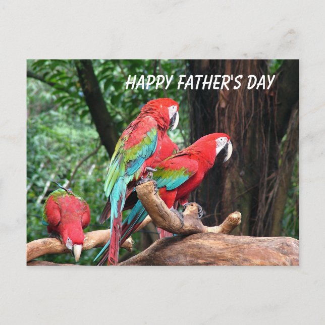Postal Loritos Feliz Día del Padre (Anverso)