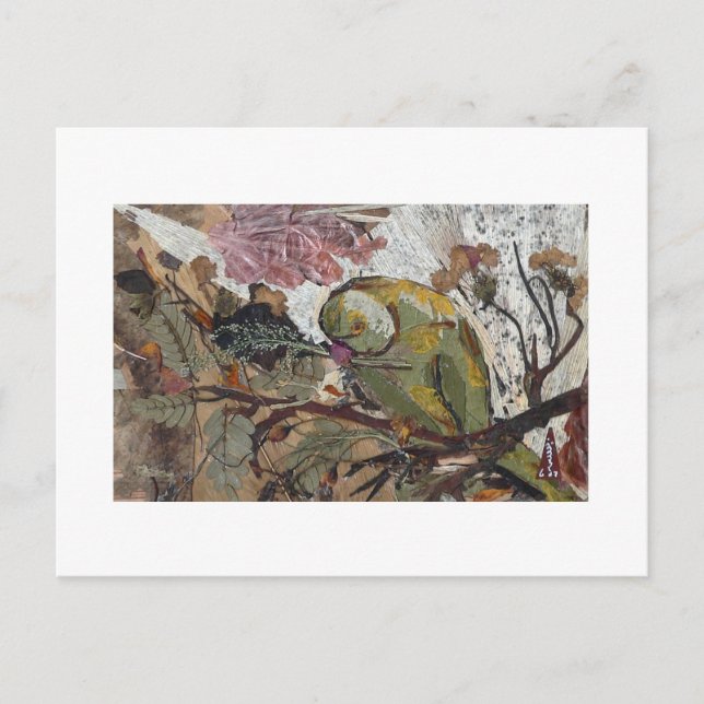 Postal loro (Anverso)