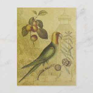 Postal Loro con ciruelas