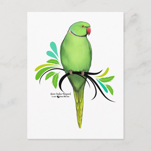 Postal Loro de collar indio verde (Anverso)