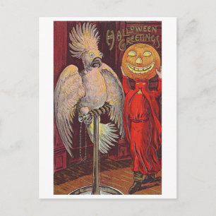 Postal Loro de Halloween y calabaza