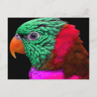 Loro exótico Pink Rojo Verde