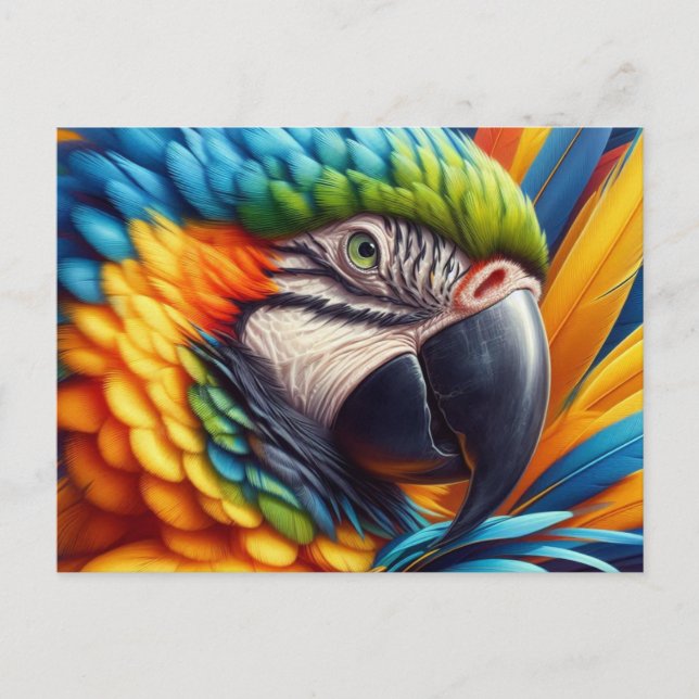 Postal Loro Guacamayo Amante de las Aves  (Anverso)