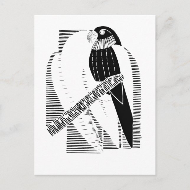 Postal Loro Minimalista Arte Animal Abstracto Frontal (Anverso)