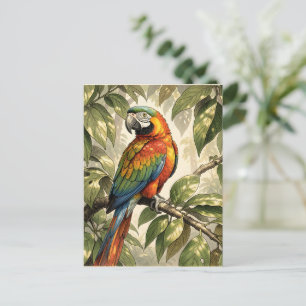Postal Loro pájaro en dibujo de árbol