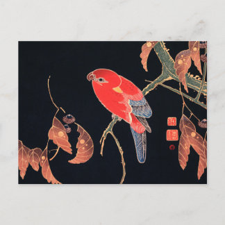 Postal Loro Rojo en la rama de un árbol por Ito Jakuchu